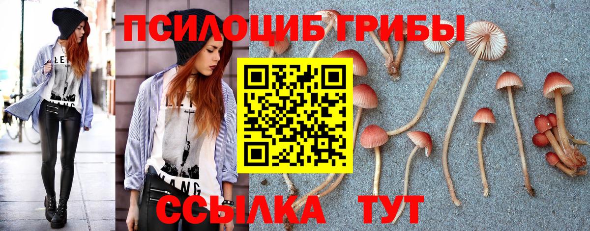 Галлюциногенные грибы Cubensis  Вход с VPN  что такое наркотик  Вятские Поляны 