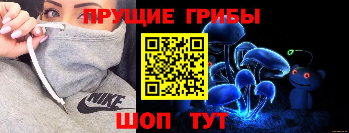 Галлюциногенные грибы Psilocybe Вятские Поляны